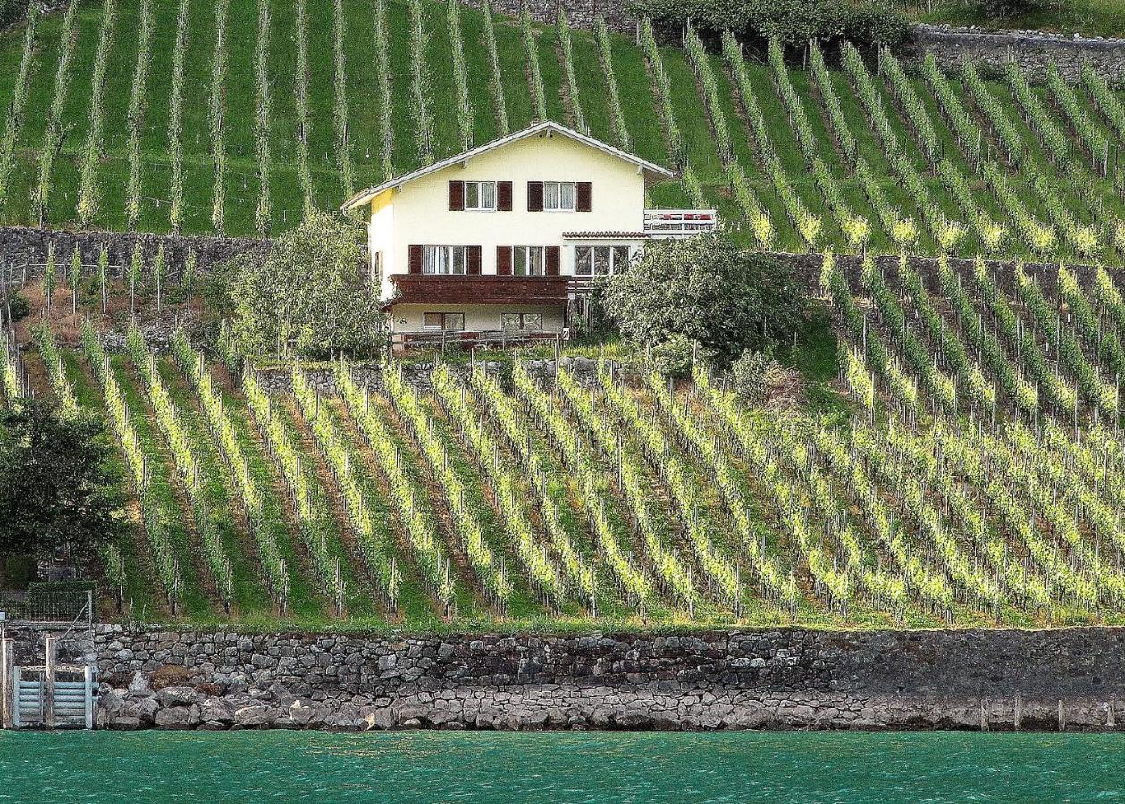 Haus Buenten Quinten Exterior photo