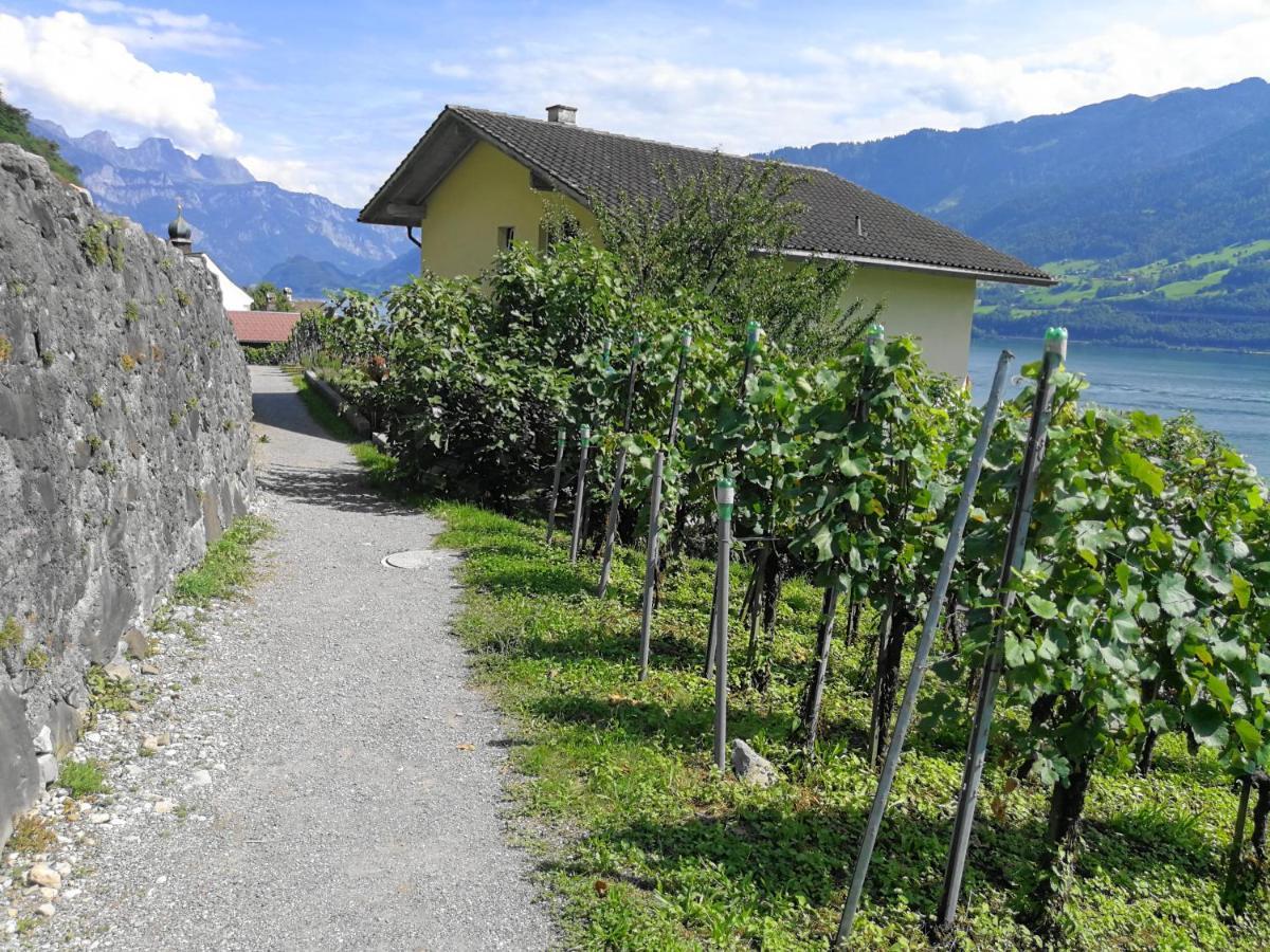 Haus Buenten Quinten Exterior photo