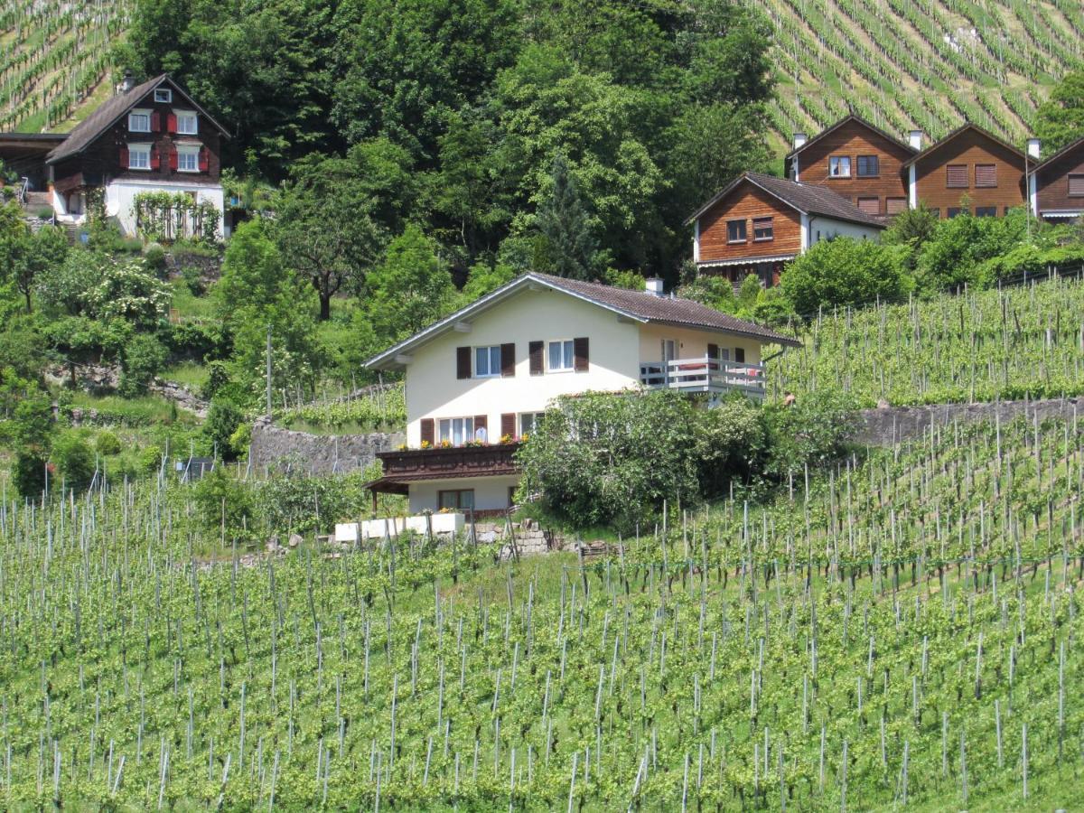 Haus Buenten Quinten Exterior photo